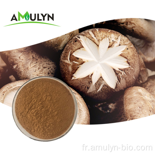 Extrait de champignon comestible organique Extrait de champignons shiitake